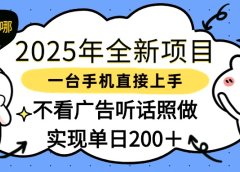 2025年全新项目一部手机轻松上手,实现单日200+