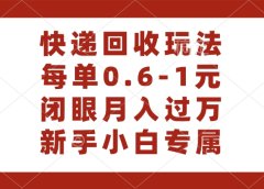 快递回收自助玩法,每单收益0.6到1元,闭眼也能月入一万,适合新手小白