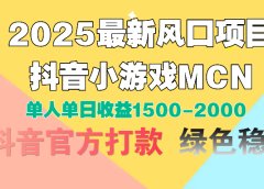 2025最新风口项目 抖音小游戏MCN 单人单日收益1500-2000+