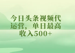 今日头条视频代运营,单日最高收入500+