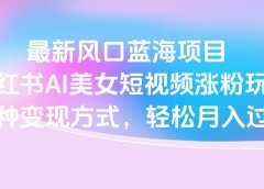 最新风口蓝海项目，小红书AI美女短视频涨粉玩法，多种变现方式轻松月入过万