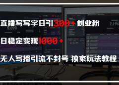 直播写写字日引300+创业粉,日稳定变现600+,无人写播引流不封号,独家玩法教程