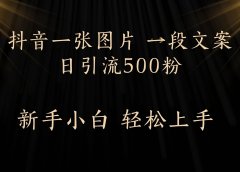 每天2分钟,抖音一张图片 一段文案日引流500粉
