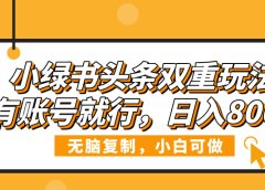 小绿书头条双重玩法，有账号就行，日入800+