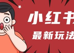 小红书人最新玩法,一条笔记点赞3W+,轻松日入1000+,小白秒上手