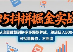 2025抖拼掘金实战营,从流量截胡到拼多多爆款养成,单店日入500+ 可批量操作,不断流