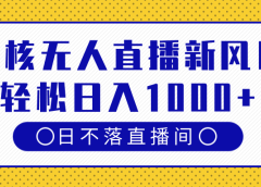 硬核无人直播新风口,日不落直播间,轻松日入1000+