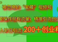 2025.5月最新被忽略的“宝藏”视频号，精准日引流200+