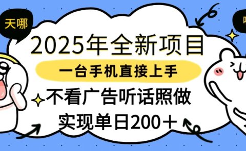 2025年全新项目一部手机轻松上手,实现单日200+
