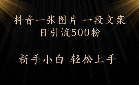 每天2分钟,抖音一张图片 一段文案日引流500粉