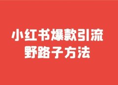 小红书爆款引流野路子方法