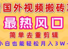 2025最新热门风口，国外视频搬砖项目，简单去重剪辑，小白也能轻松月入3W+