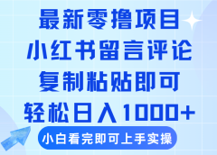 最新零撸小项目，小红书留言评论，复制粘贴即可赚钱，轻松日入1000+