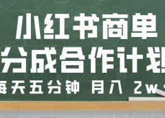 小红书商单分成合作计划，每天五分钟，月入 2w➕