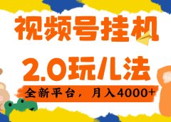视频 号挂机 2.0 玩儿法， 全新平 台， 月入 4000+