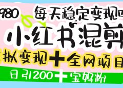 价值3980的小红书混剪, 虚拟变现 +全网项目库 , 日引200+宝妈创业粉,每天稳定四位数变现