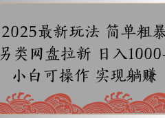 网盘拉新，冷门玩法，纯捡钱月入8000，0基础小白也能做
