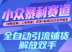 楠—小众暴利赛道（球鞋定制，二创项目）实体+私域2025王炸组合