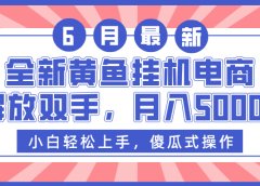 全新黄鱼挂机电商，解放双手，月入5000+
