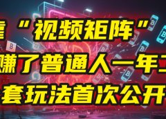 我靠“视频矩阵”,3天赚了普通人一年工资!【全套玩法首次公开】