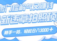 解气又赚钱的项目,随手一拍,轻松收入3000+,最新违章拍照赚钱