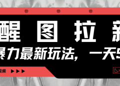 醒图拉新，暴力新玩法，光用手机三分钟制作一条视频，一天轻松500+