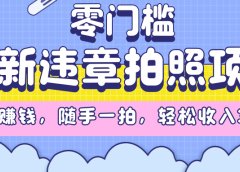 最新违章拍照项目，解气又赚钱，随手一拍，轻松收入3000+