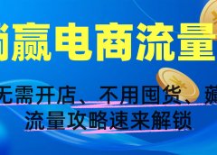 躺赢电商流量！无需开店、不用囤货，薅流量攻略速来解锁