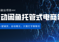 闲鱼全自动电商带货,三年磨一剑，一朝露锋芒，长期稳定项目，单日稳定变现500+