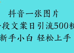 抖音一张图片 一段文案日引流500粉新手小白 轻松上手