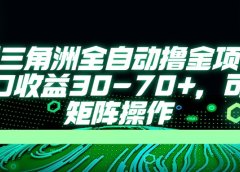 AI全自动游戏挂机项目手机电脑均可玩