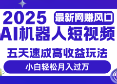 2025最新网赚变现风口，Ai 机器人短视频，五天速成高收益玩法，小白轻松月入过万