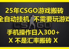 25年CSGO游戏搬砖，全自动挂机，不需要玩游戏，手机操作日入300+。(不是汇率搬砖)