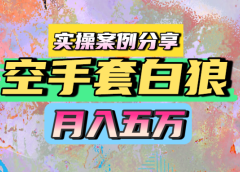空手套白狼，月入五万，实操案例分享