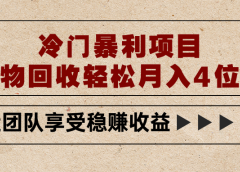 冷门暴利项目，旧物回收轻松月入4位数
