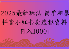2025最新玩法 简单粗暴抖音小红书卖虚拟资料日入1000+