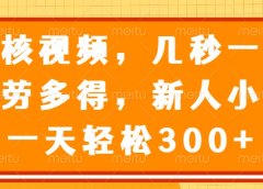 视频审核员，几秒一单，多劳多得，新人小白一天轻松300+