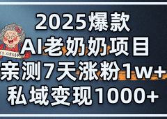 2025爆款 AI 老奶奶项目：亲测 7 天涨粉 1W+，私域变现 1000+