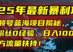 2025年最新暴利项目：视频号蓝海项目揭秘，0粉丝0经验，日入1000+，官方流量扶持！