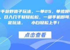 抖音手游野路子玩法，一单25，单视频收益4000+，一部手机即可操作，日入几千轻轻松松，稳定玩法，  小白轻松上手！