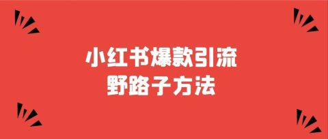 小红书爆款引流野路子方法