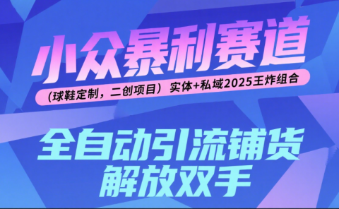 楠—小众暴利赛道（球鞋定制，二创项目）实体+私域2025王炸组合