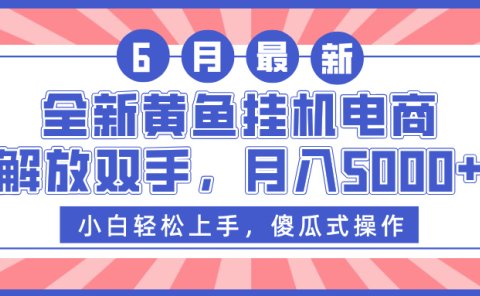 全新黄鱼挂机电商，解放双手，月入5000+