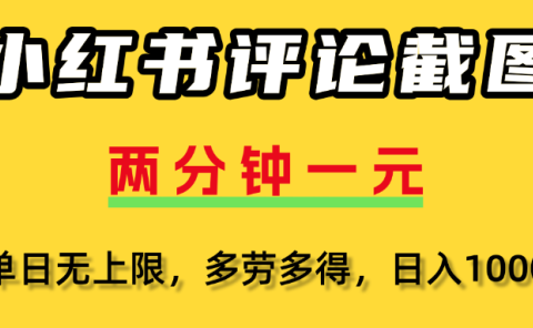 小红书评论截图,一条0.5元,多劳多得!