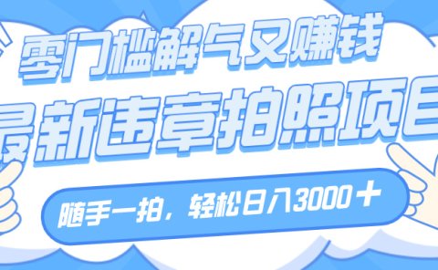 解气又赚钱的项目,随手一拍,轻松收入3000+,最新违章拍照赚钱
