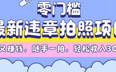 最新违章拍照项目，解气又赚钱，随手一拍，轻松收入3000+