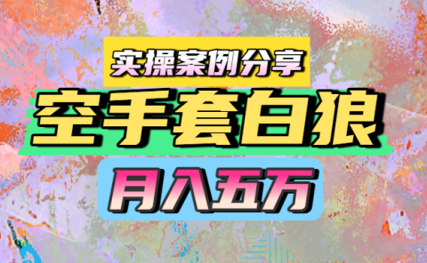 空手套白狼，月入五万，实操案例分享