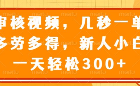 视频审核员，几秒一单，多劳多得，新人小白一天轻松300+