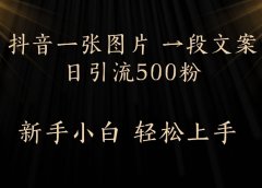 抖音一张图片,一段文案日引流500粉,新手小白 轻松上手