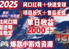 2025最新抖音小游戏广告联盟,日赚2000+从零开始的财富逆袭